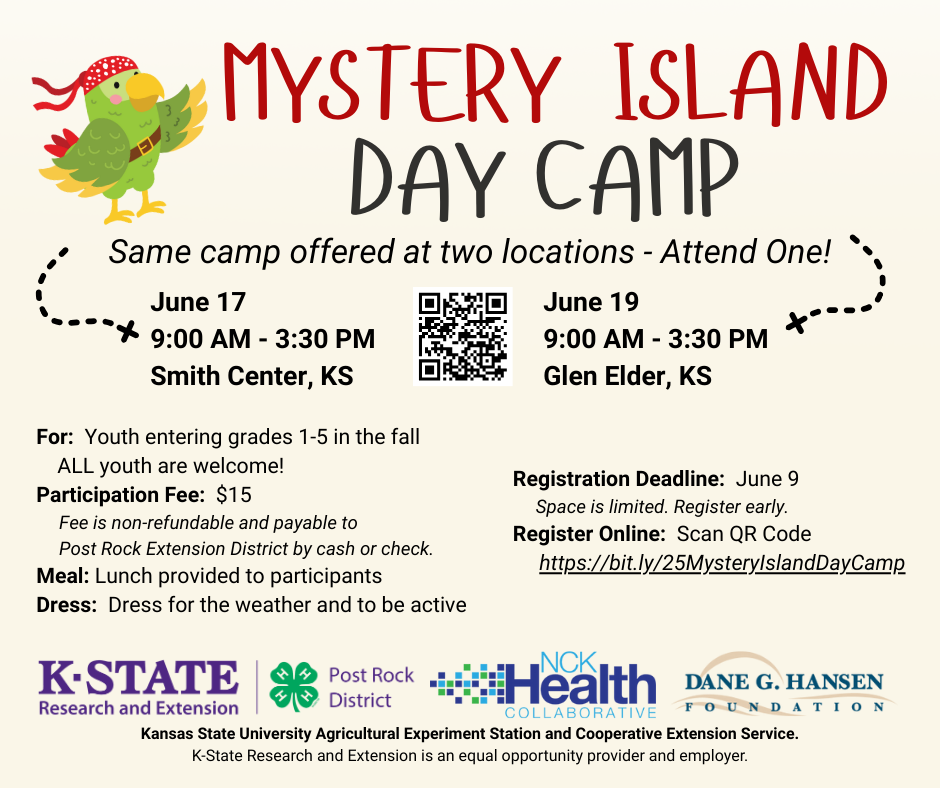 Mystery Island Daycamp