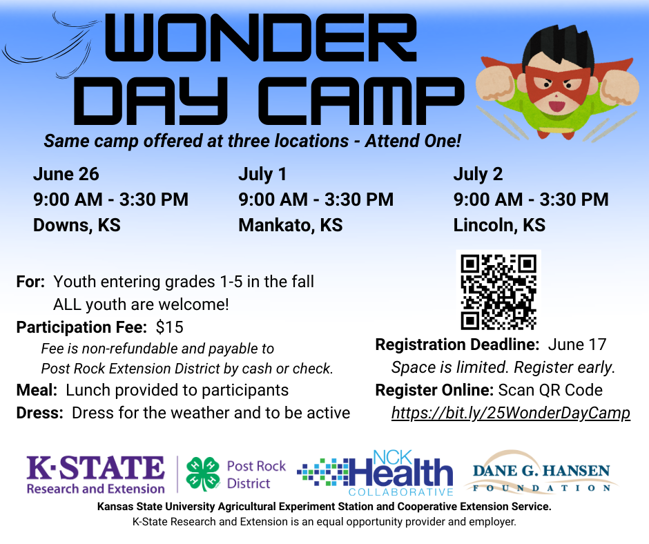 Wonder Daycamp