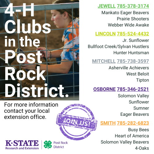 4-H Clubs in the Post Rock District