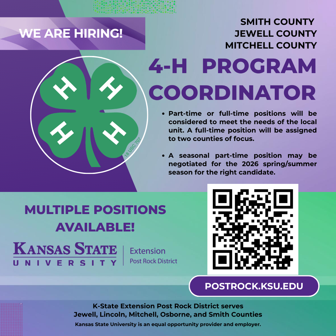 Youth Development Internship