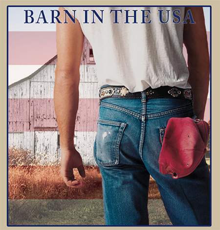 Mitchell county fair logo, born in the U.S.A