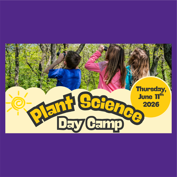 Plant Science Daycamp. Kids using binoculars to look for birds in the trees.