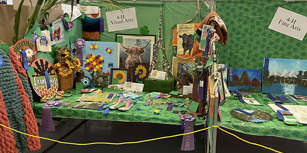 4-H Visual Arts and Fine Arts Display of 4-H projects at fair