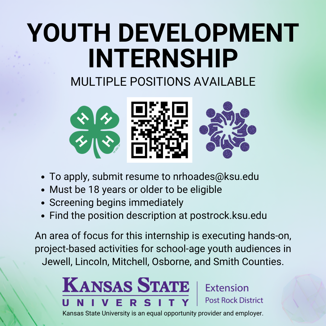 Youth Development Internship