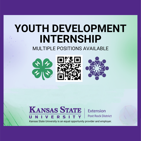 Now Hiring Youth Development Internship
