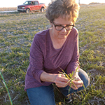 Sandra Checking Wheat