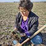 Sandra Checking the Condition of the Wheat