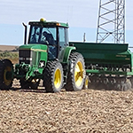 Wheat Drilling