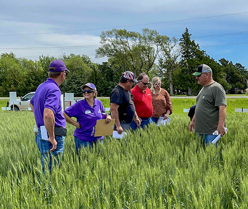 Sandra Wick with Post Rock Extension District at her Wheat Test Plot