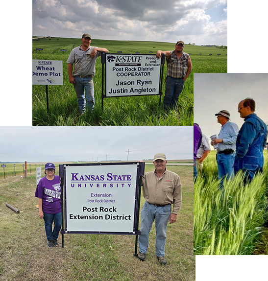 Wheat Test Plot Producers