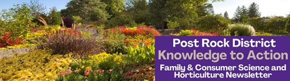 November 2025 Knowledge to Action Newsletter red and gold fall trees