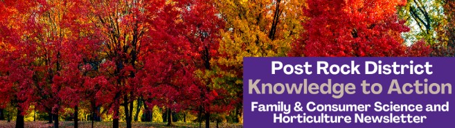 October 2025 Knowledge to Action Newsletter trees with red and gold leaves in the fall