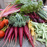 Variety of Vegetables