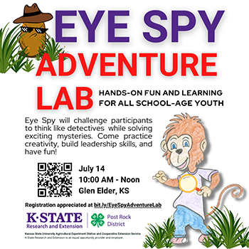 Eye Spy Adventure Lab