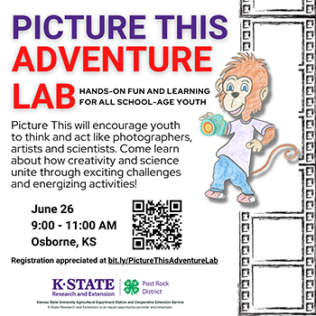 Picture this adventure lab