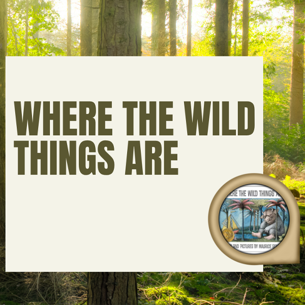 Where the Wild Things are Daycamp