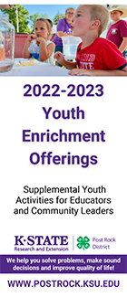 Youth Enrichment Offerings Brochure